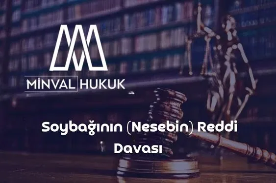 soy bağının nesebin reddi davası